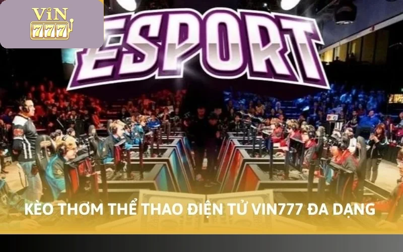Cách Chơi Esports VIN777 - Điểm Cược Cho Bet Thủ Mê Điện Tử 5 Kèo thơm ở sảnh thể thao điện tử VIN777 vô cùng đa dạng